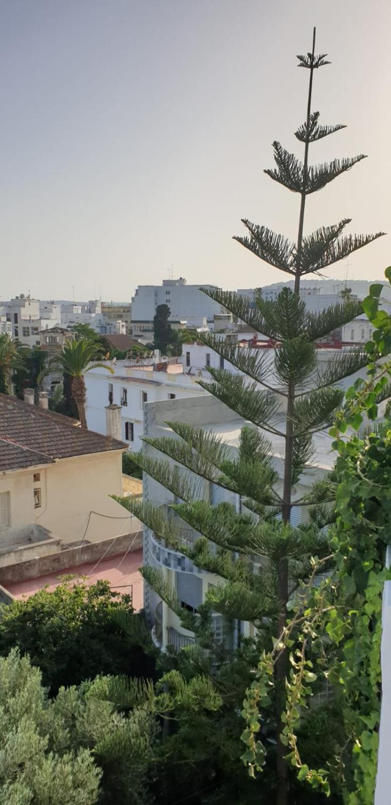 Guesthouse Kasbah Old Medina Tanger Екстер'єр фото